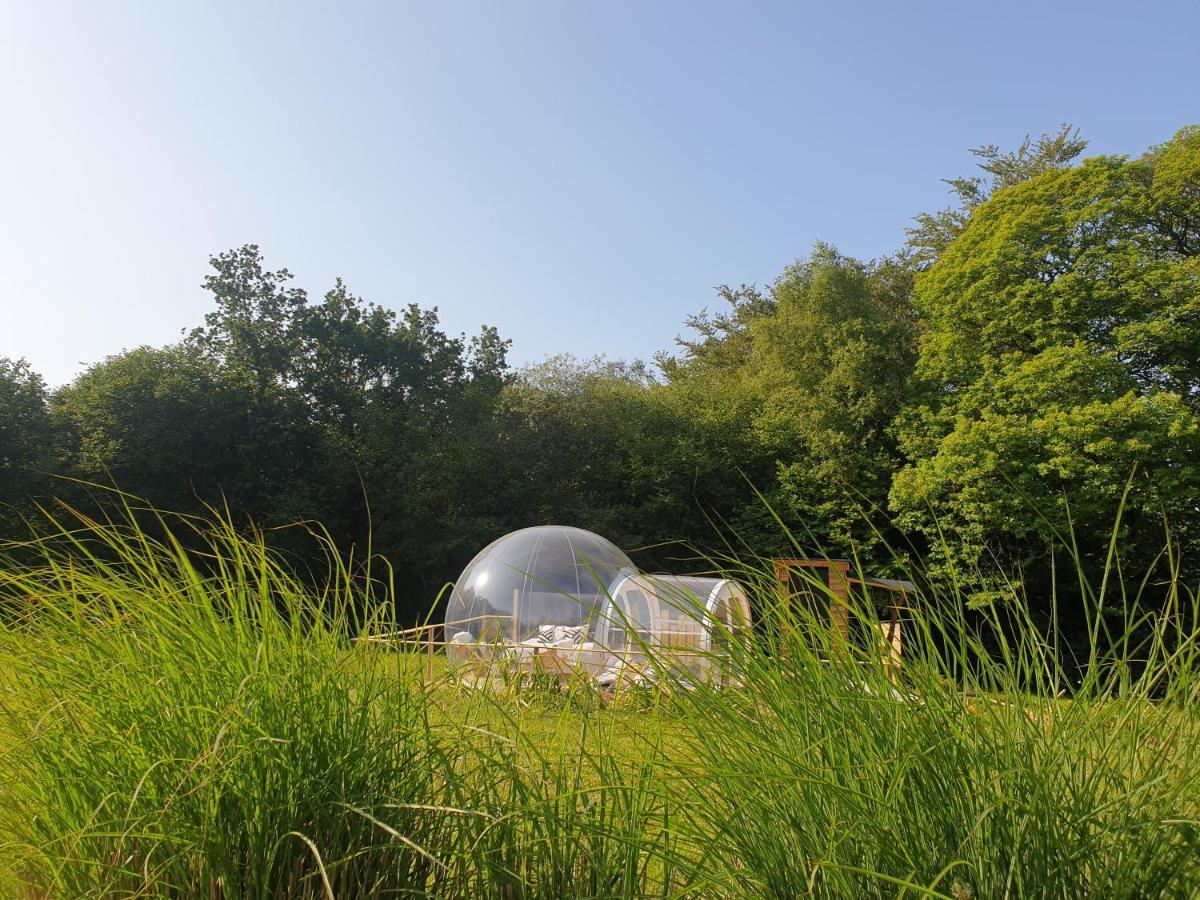 La Bulle De Clotilde - Logement Insolite Tourch Extérieur photo